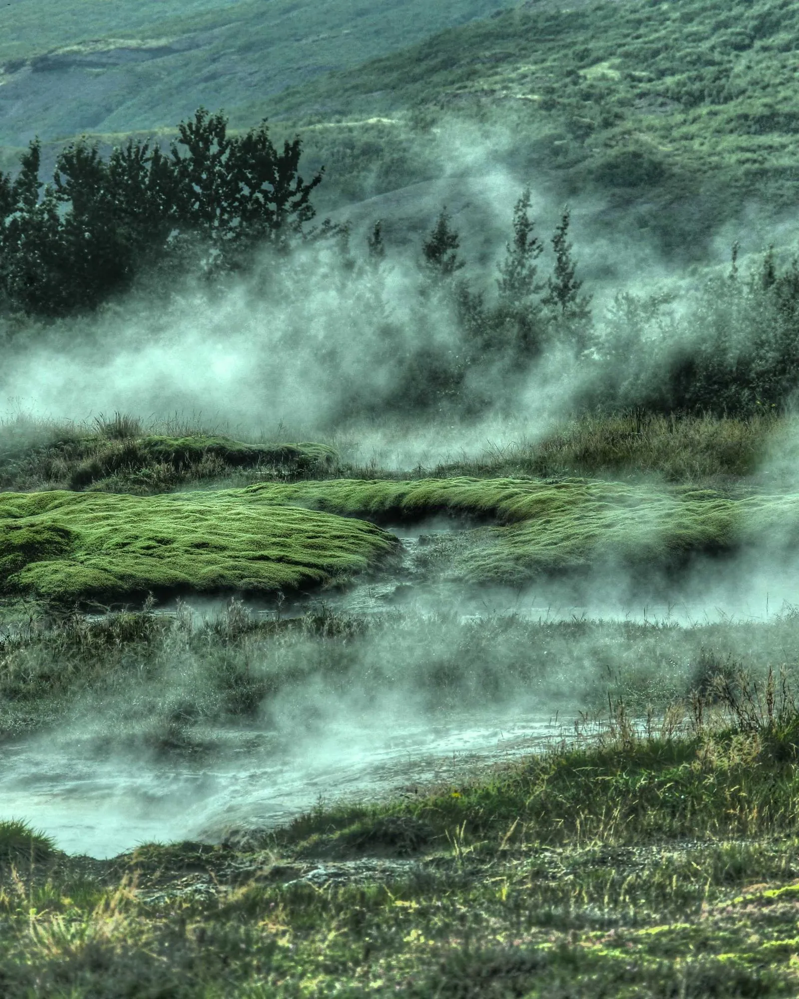 Beachfront ceremony at golden hour