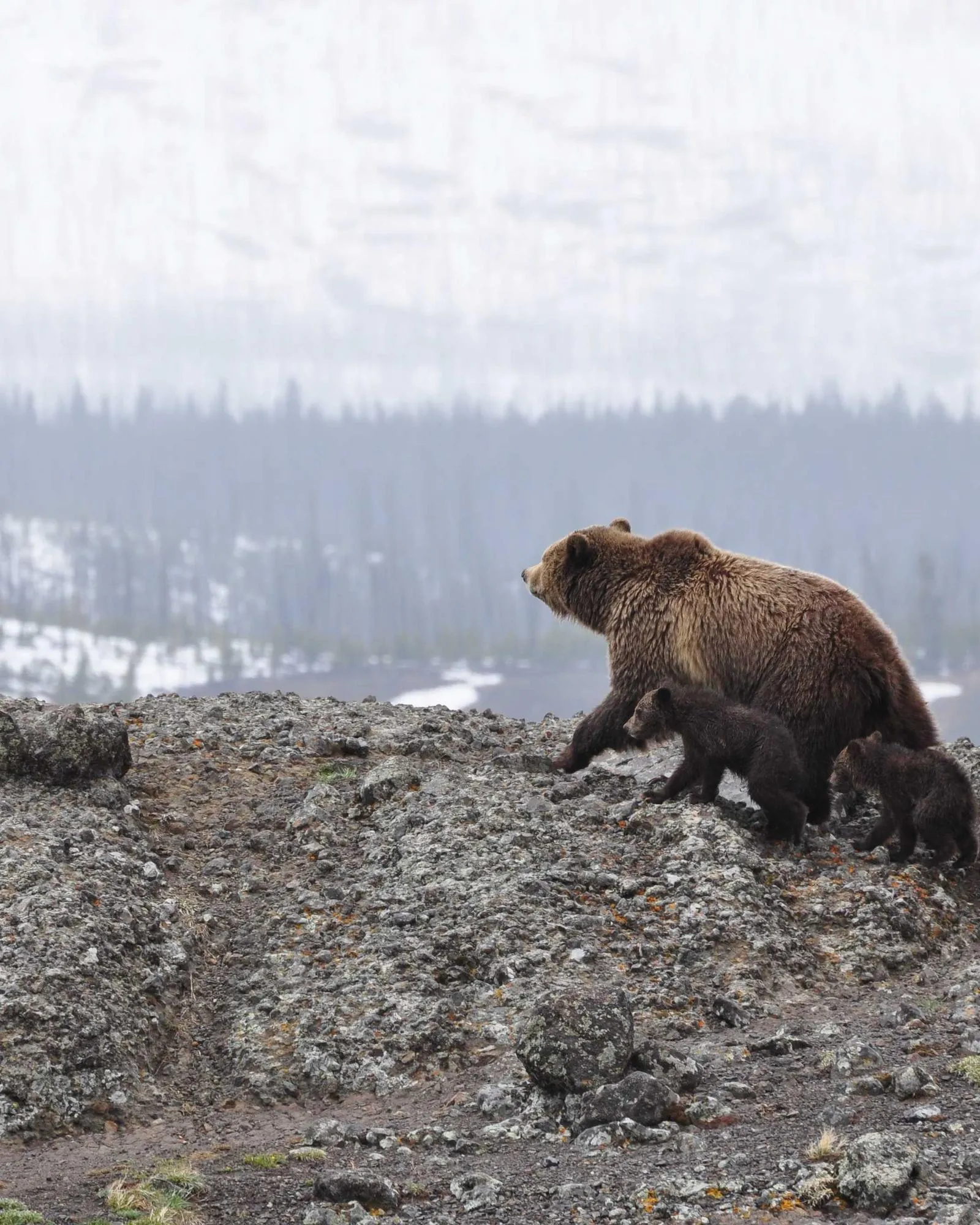 Three generations on the haveli rooftop