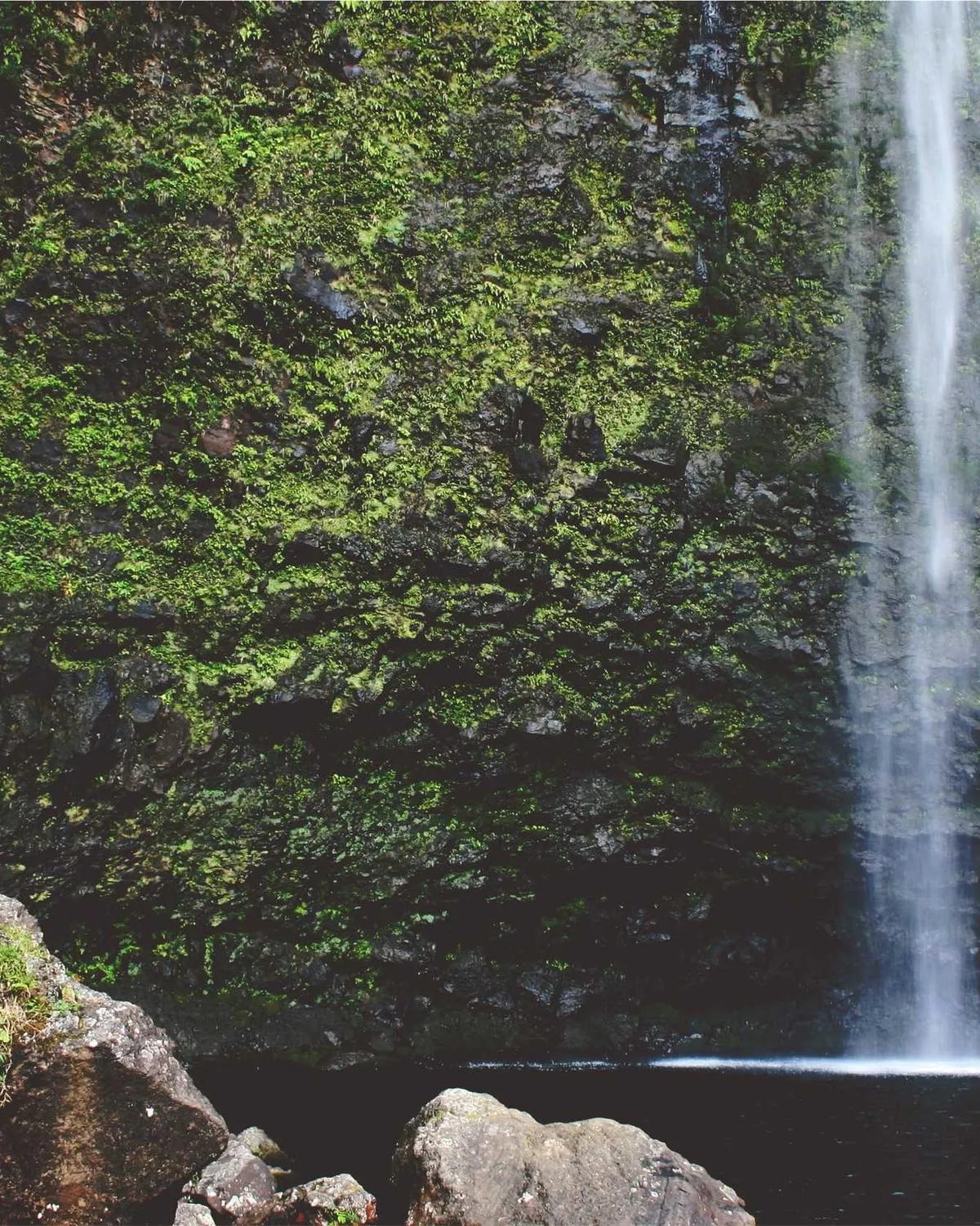 Wedding portrait, Udaipur