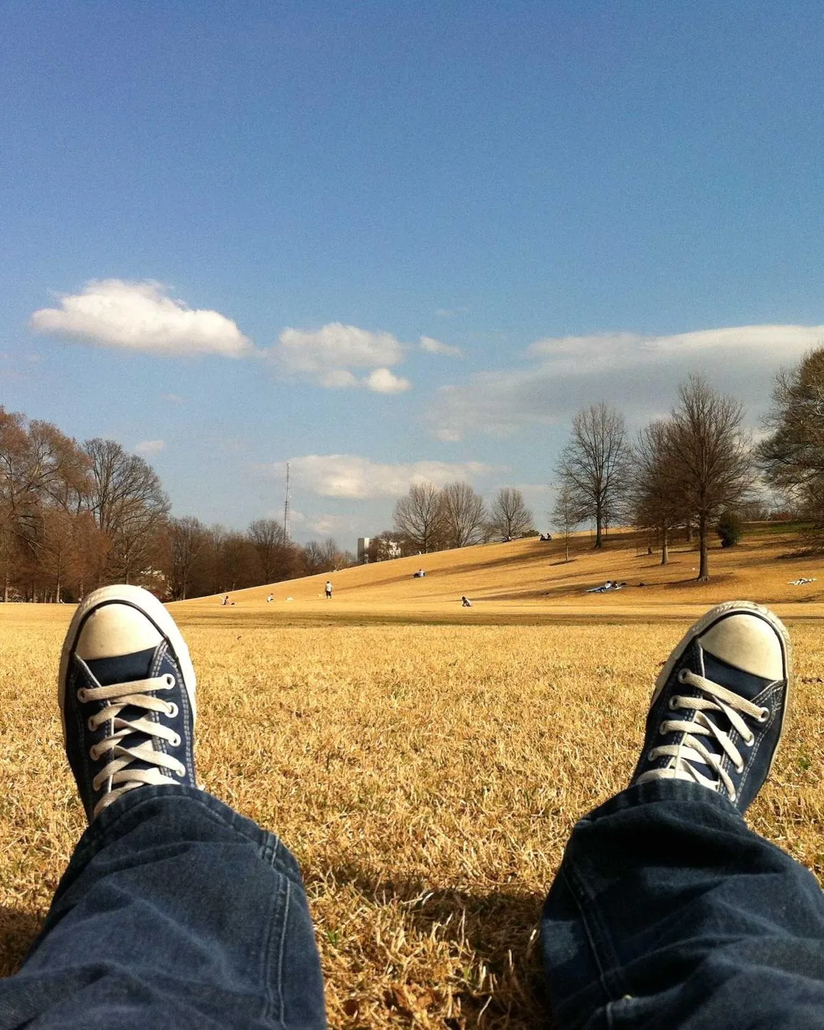 Editorial study, Mumbai