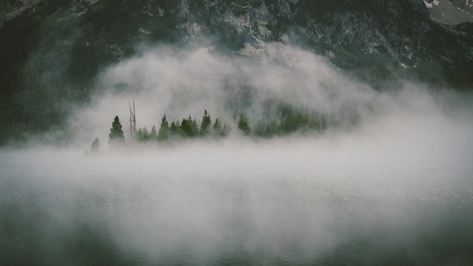 A wedding in Udaipur