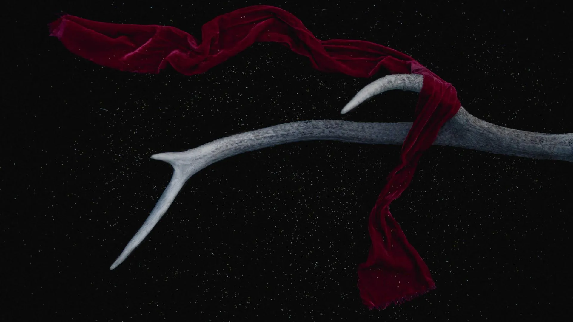 Udaipur — A Wedding Film